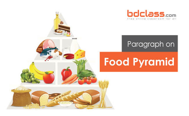 Paragraph on Food Pyramid for Class 5