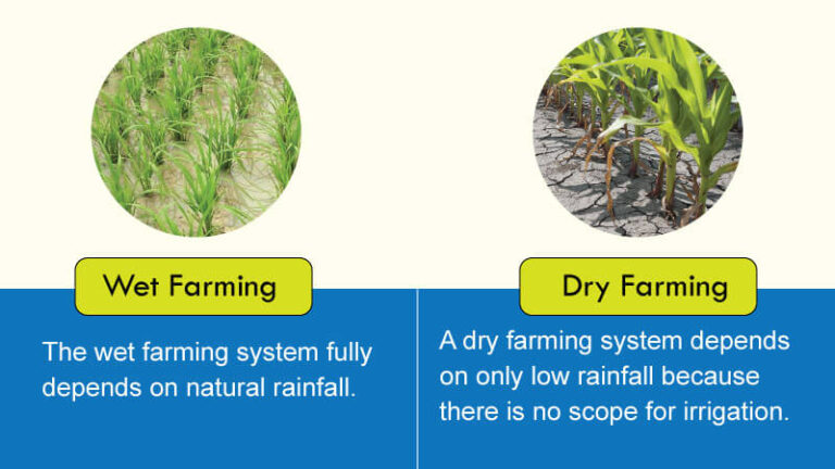 State the Difference between Wet Farming and Dry Farming
