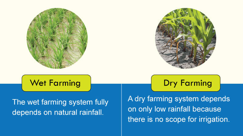 Difference between Wet Farming and Dry Farming
